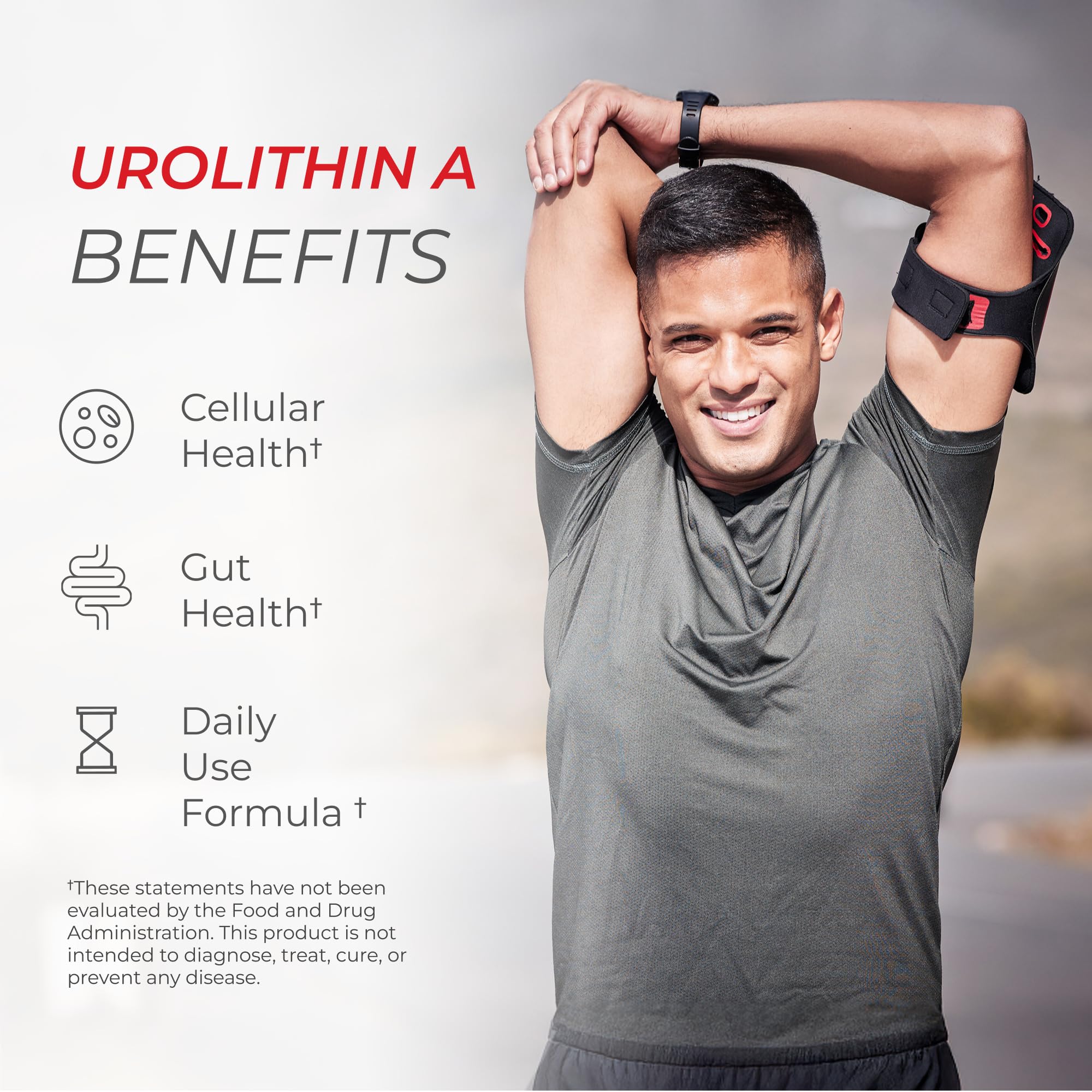 GMP-certified facility behind Neurogan Urolithin A Pro.