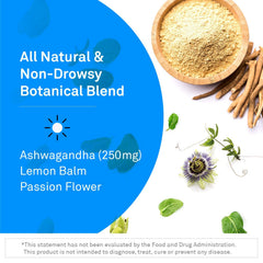 L-Theanine and Lemon Balm calm support illustration related to Alpha GABA