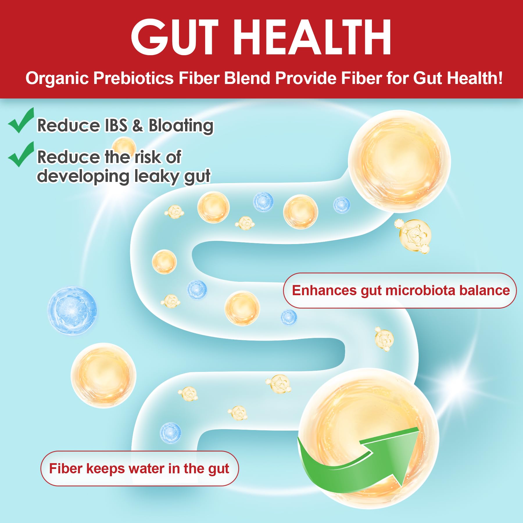 Prebiotic fiber and probiotic strains for gut health