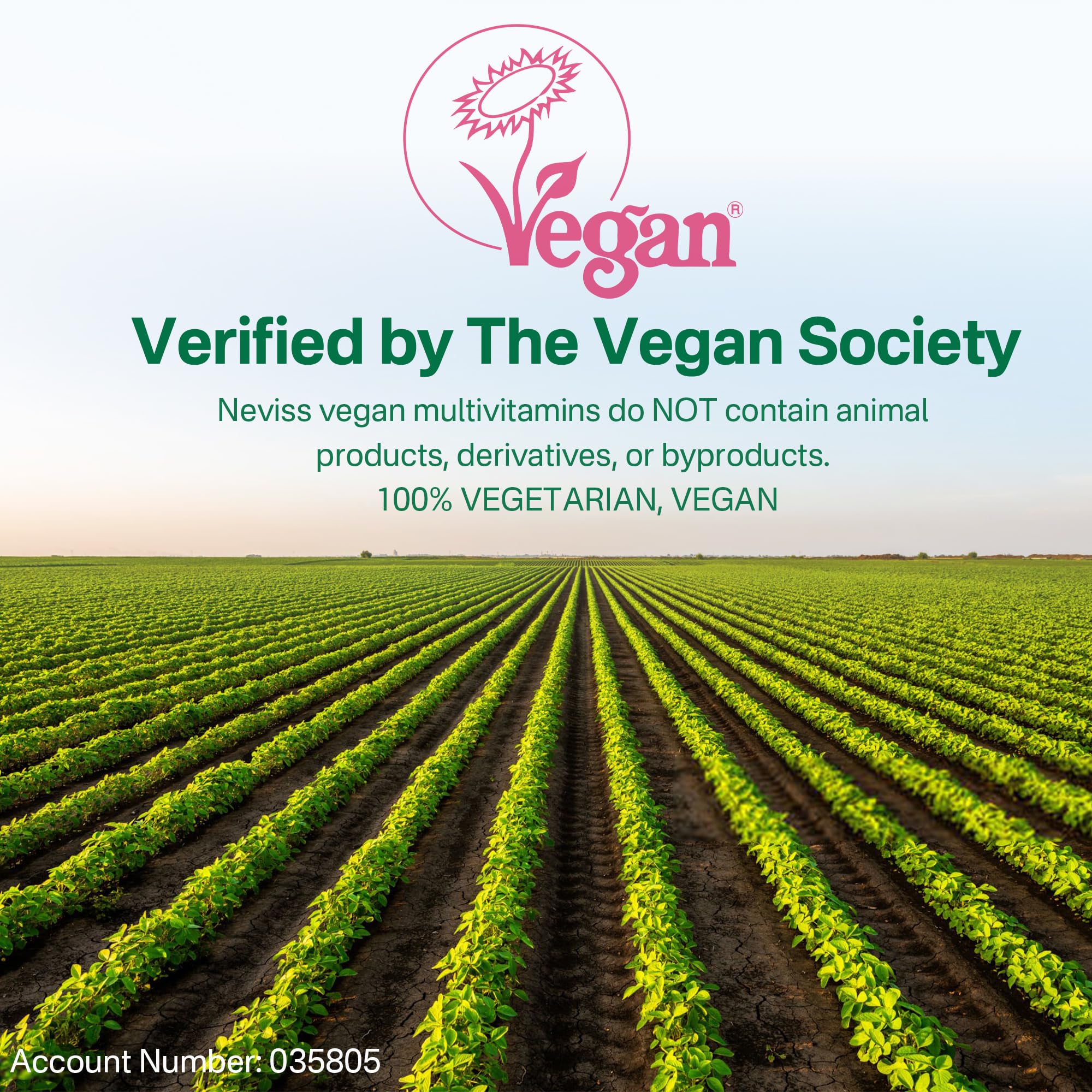 Gummies made from plant-based ingredients for vegan nutrition