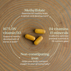 Ginger root and organic ingredients used in prenatal formula