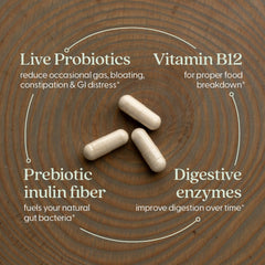 Graphic showing the five digestive enzymes included