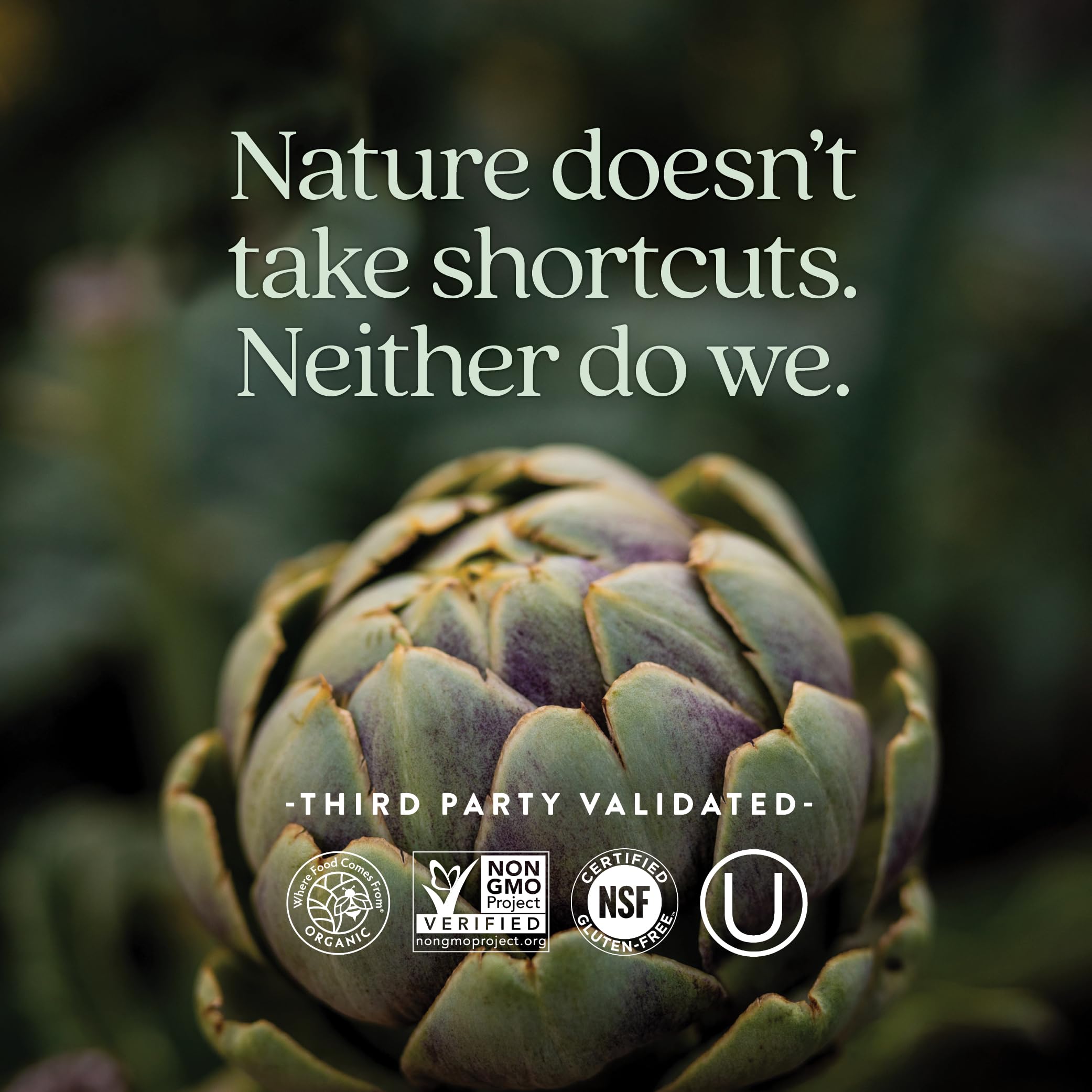 New Chapter Men's Multivitamin 55+ daily-dose arrangement emphasizes simplicity