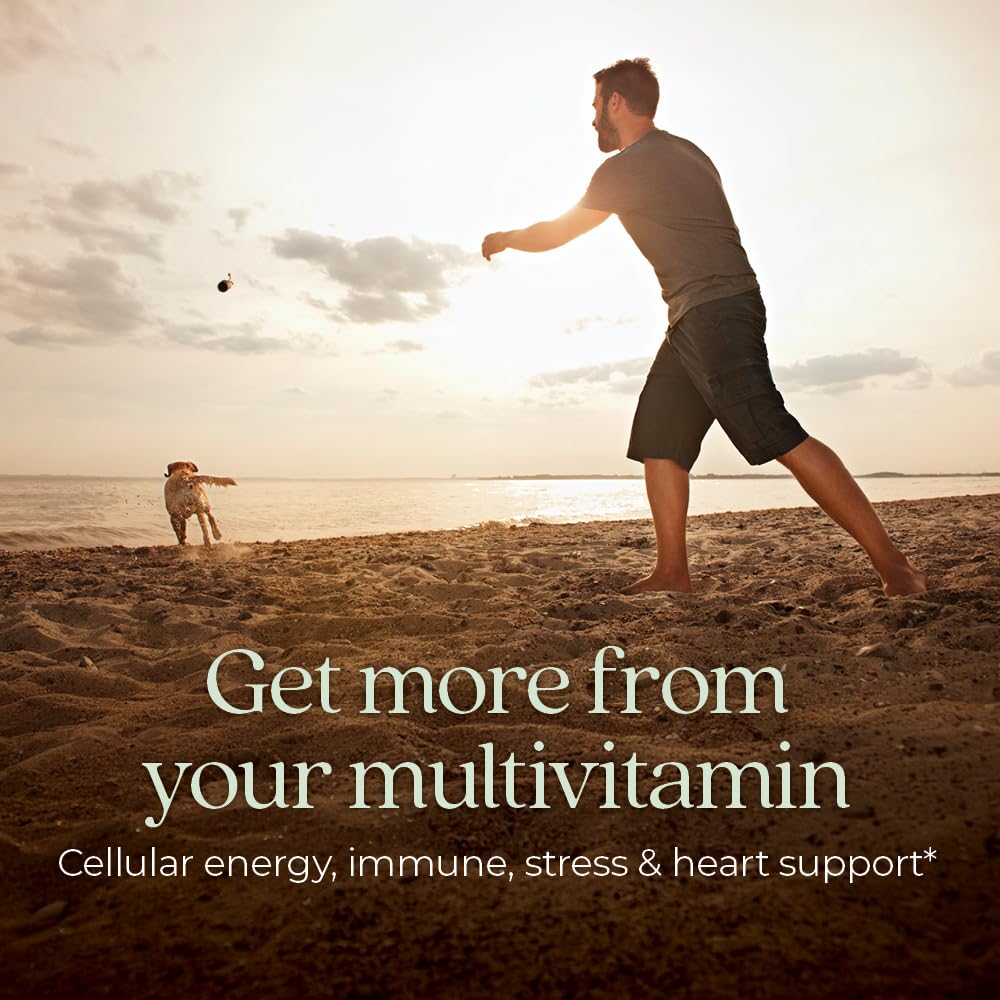 Fermented nutrient capsules close-up