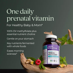 Ginger root illustrating nausea relief in prenatal vitamins