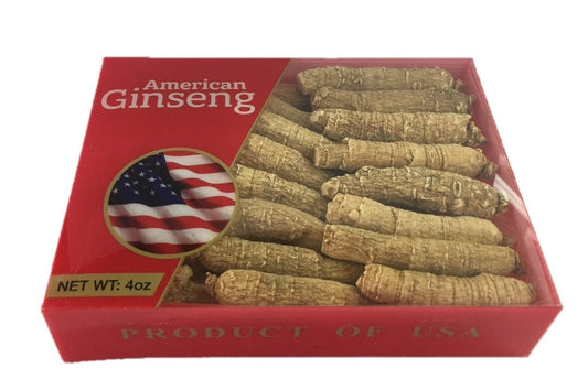 Close-up of hand-selected A-grade ginseng root