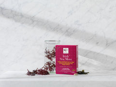 Norwegian kelp seaweed close-up