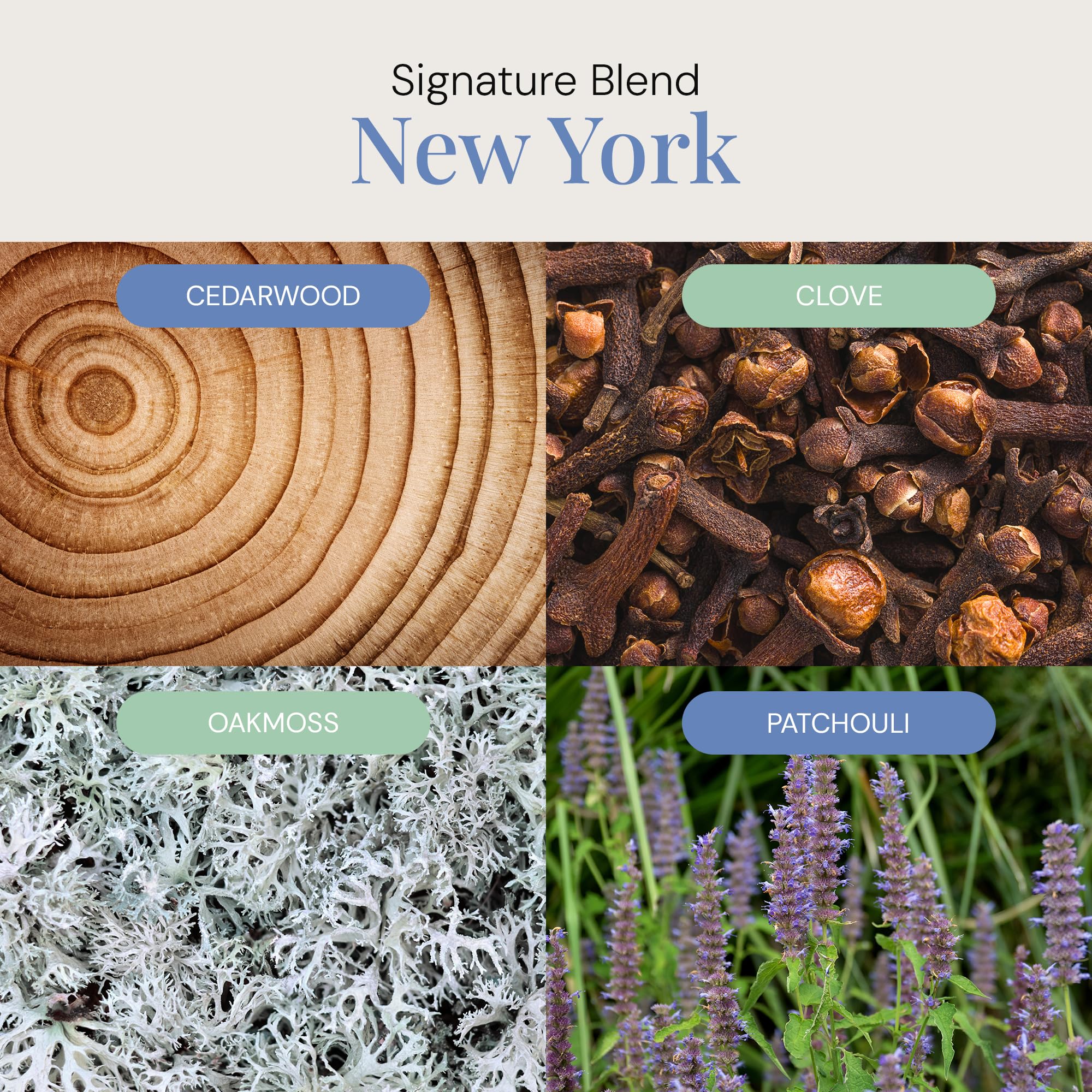 Ambient room with diffuser using New York Aroma Oil