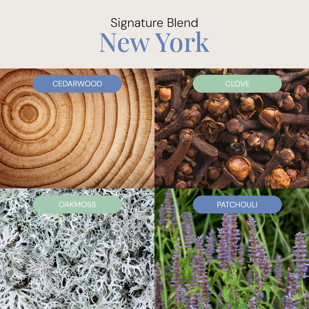 Ambient room with diffuser using New York Aroma Oil