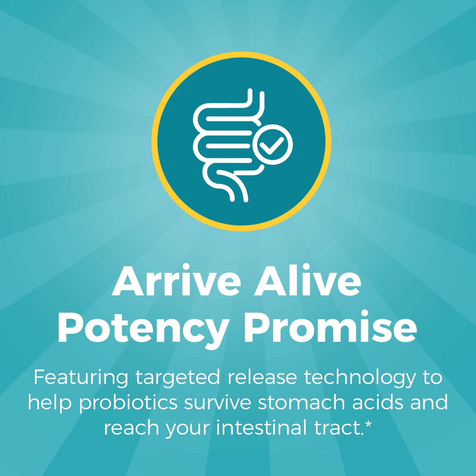 Graphic showing targeted release technology for gut survival