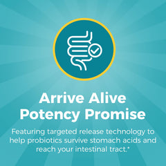 Graphic showing targeted release technology for gut survival