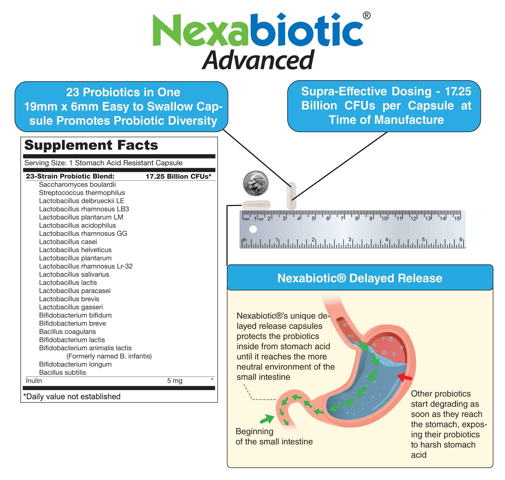 Lactobacillus rhamnosus probiotic strain