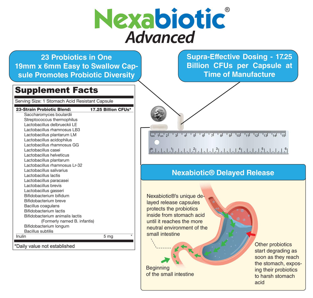 Lactobacillus rhamnosus probiotic strain
