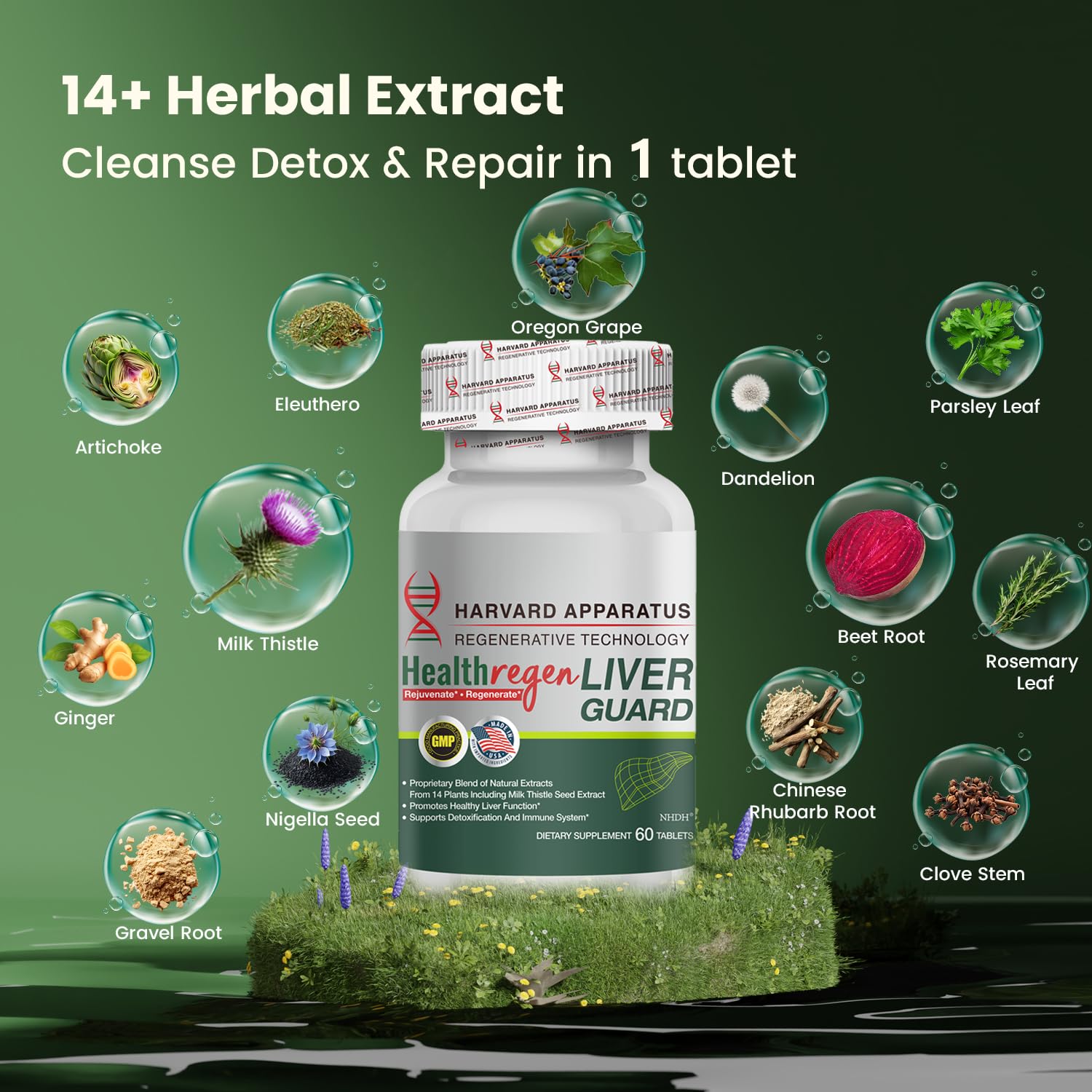 Dandelion and artichoke as key liver-supporting ingredients