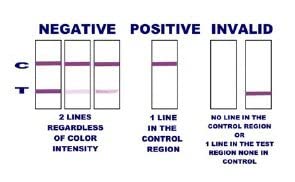 Close-up of 10 ng sensitivity indicator on Nicotests kit