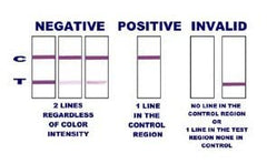 Close-up of 10 ng sensitivity indicator on Nicotests kit