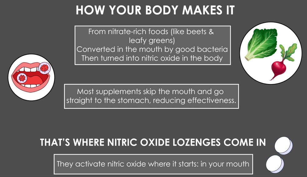 Nitrate-nitrite-NO pathway diagram