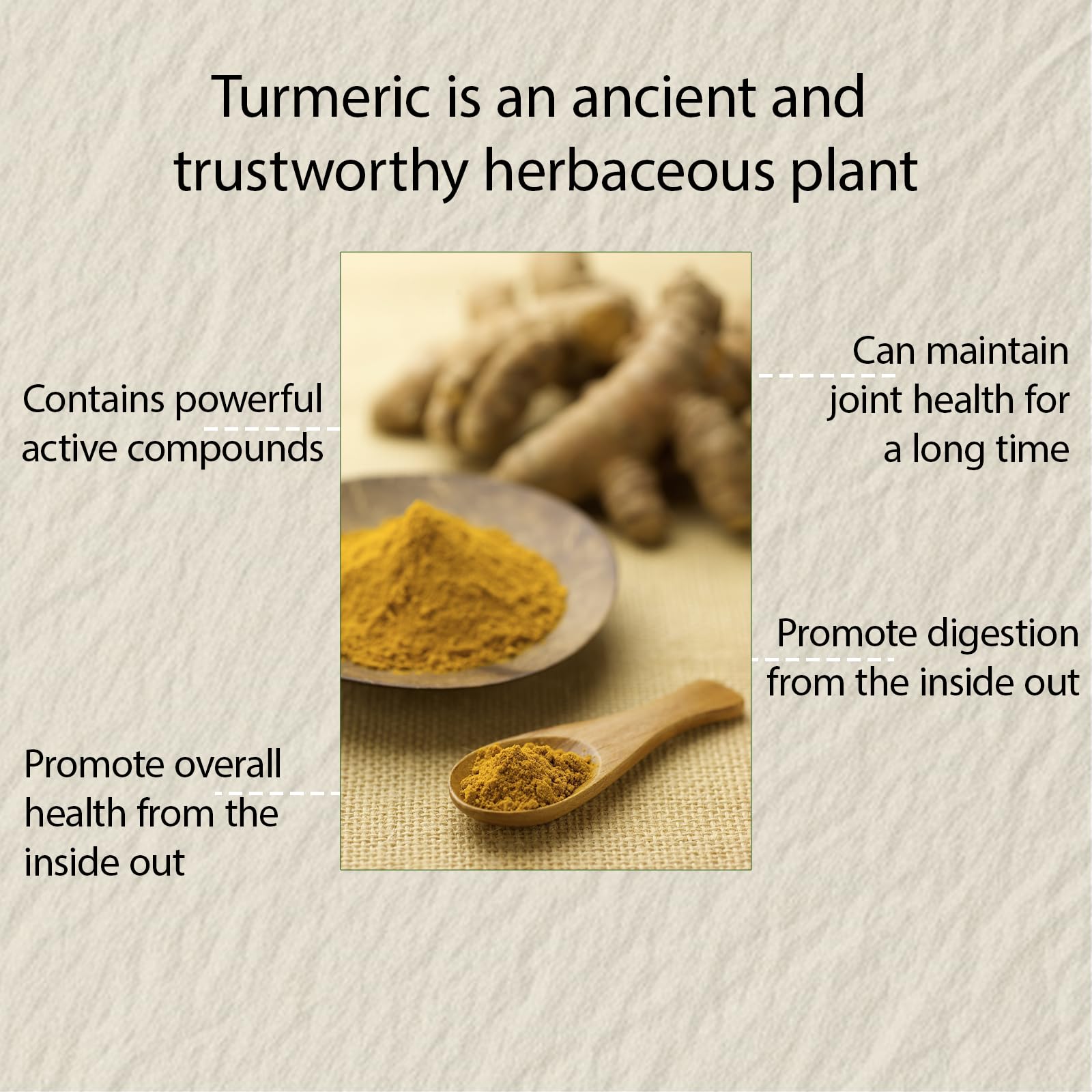 NIVELLE Turmeric Curcumin with organic ginger root