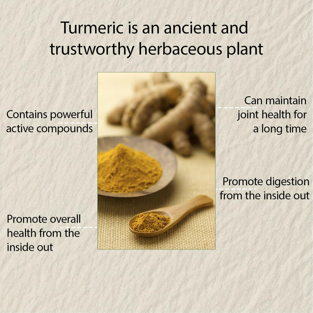 NIVELLE Turmeric Curcumin with organic ginger root