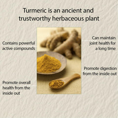 NIVELLE Turmeric Curcumin with organic ginger root