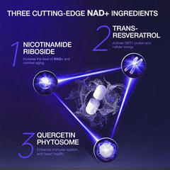 Liposomal NAD delivery technology graphic