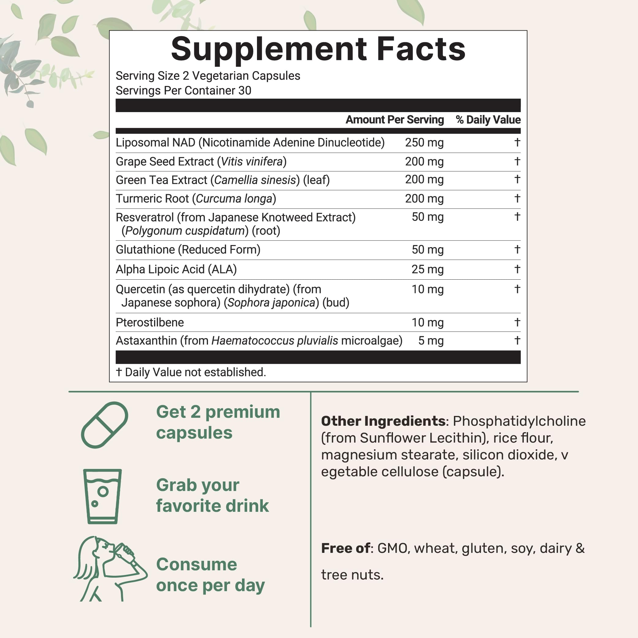 NMN pathway 10-in-1 ingredients list