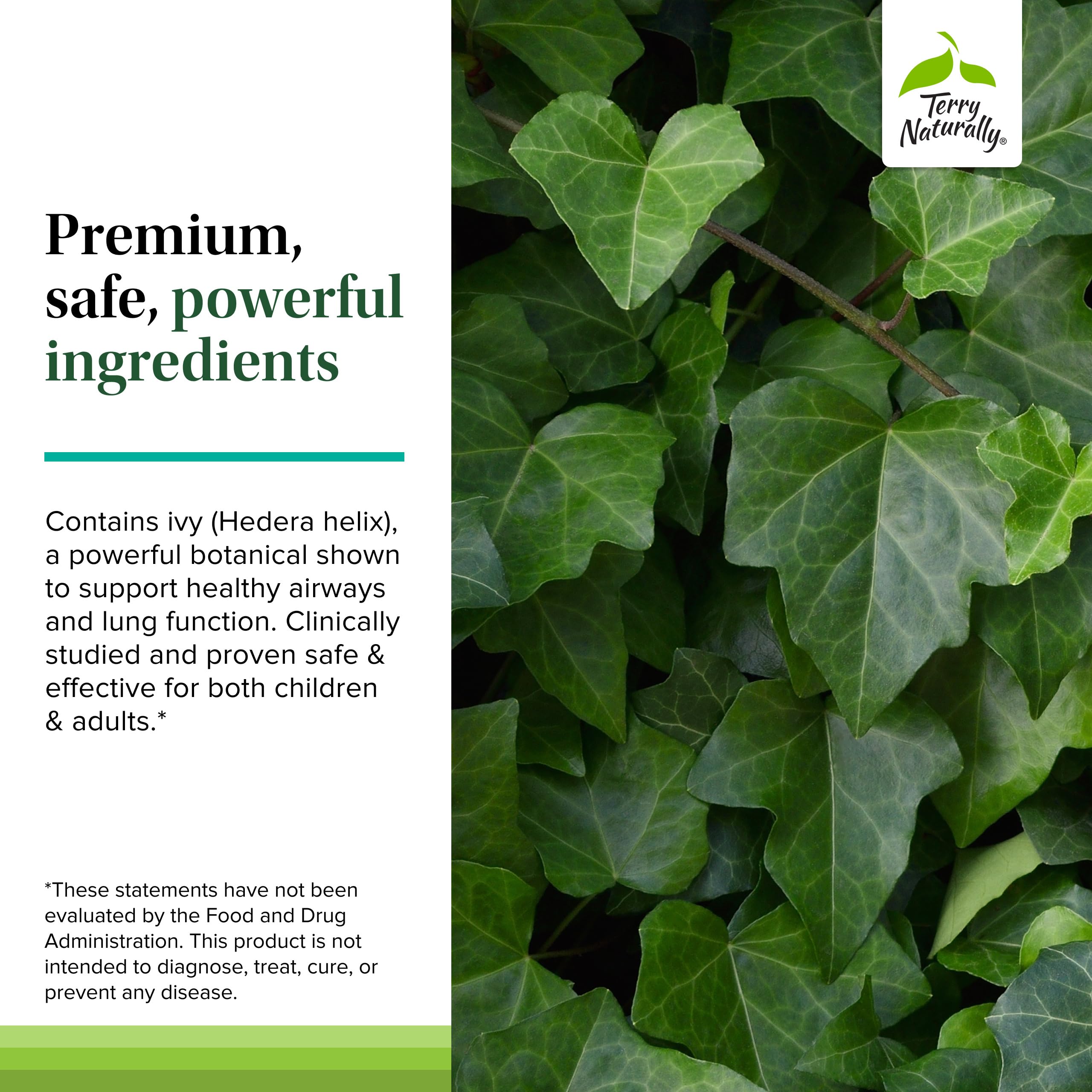 Ingredients label highlighting no artificial colors or flavors