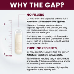 No fillers, gluten-free probiotic ingredients list