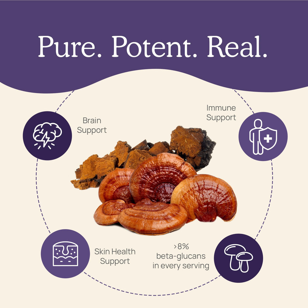 Close-up of organic mushroom capsules with no fillers