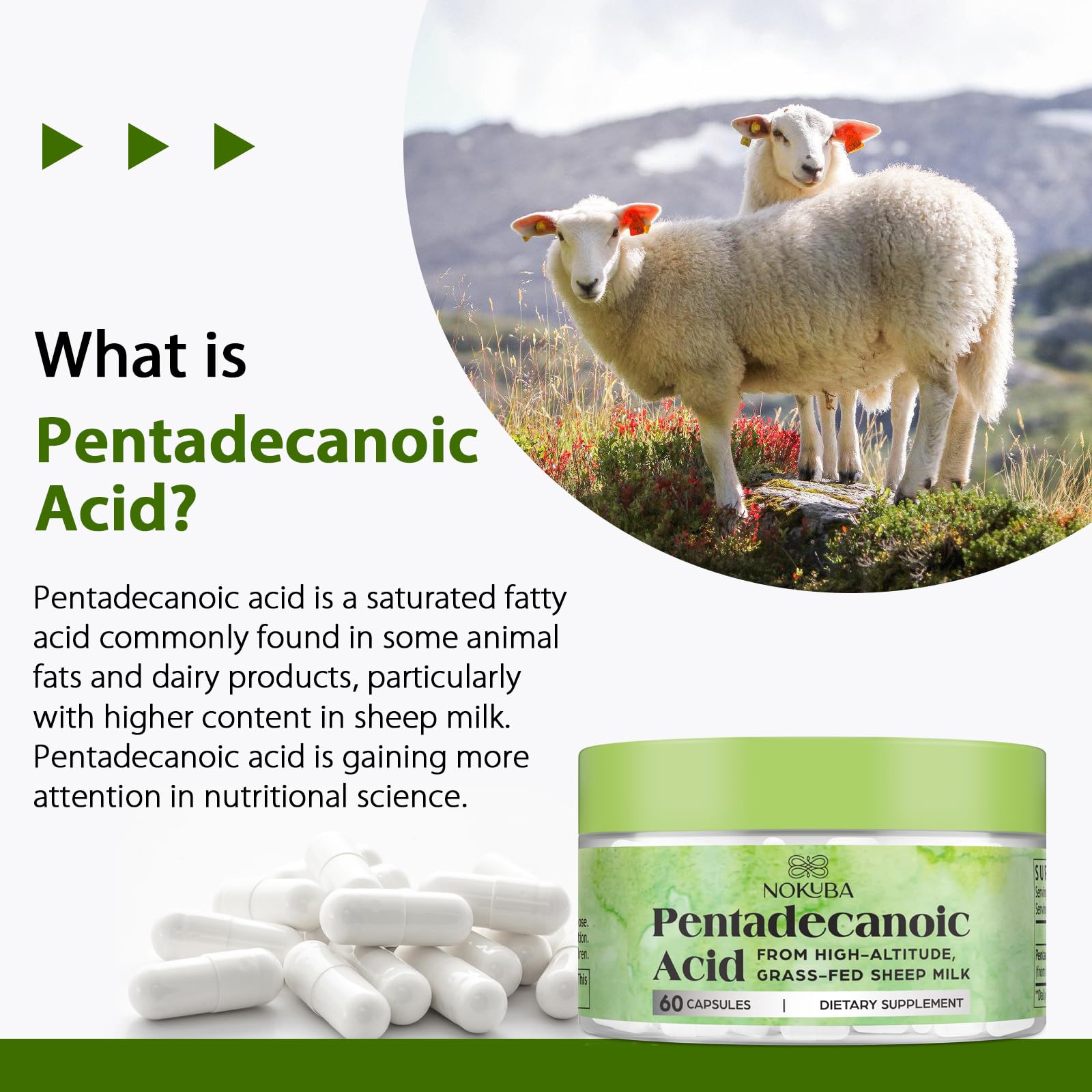 Nokuba Pentadecanoic Acid sourced from high-altitude sheep milk.