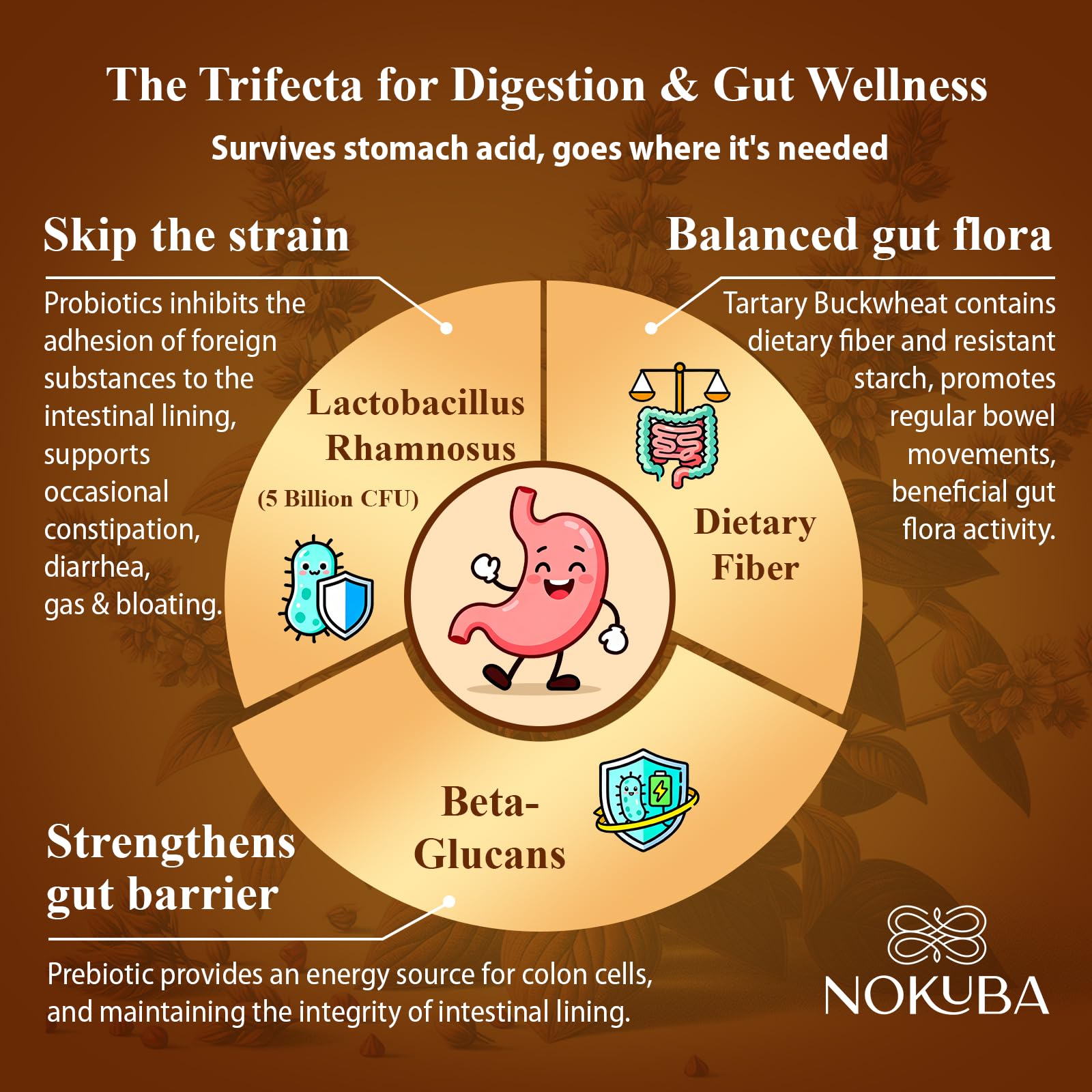 Recommended daily dosage of 2 capsules for Nokuba Immune Support