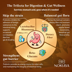 Recommended daily dosage of 2 capsules for Nokuba Immune Support