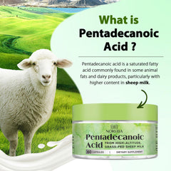 High-altitude sheep milk source illustration