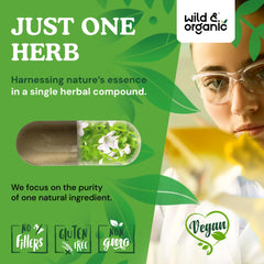 Non-GMO Brahmi Bacopa Monnieri capsules