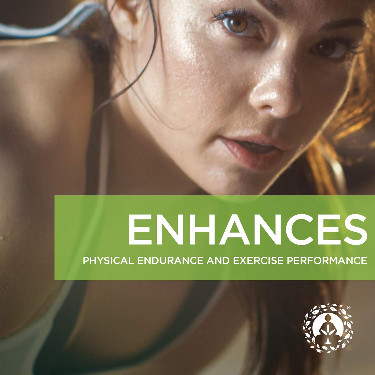 Non-GMO and gluten-free maca capsules