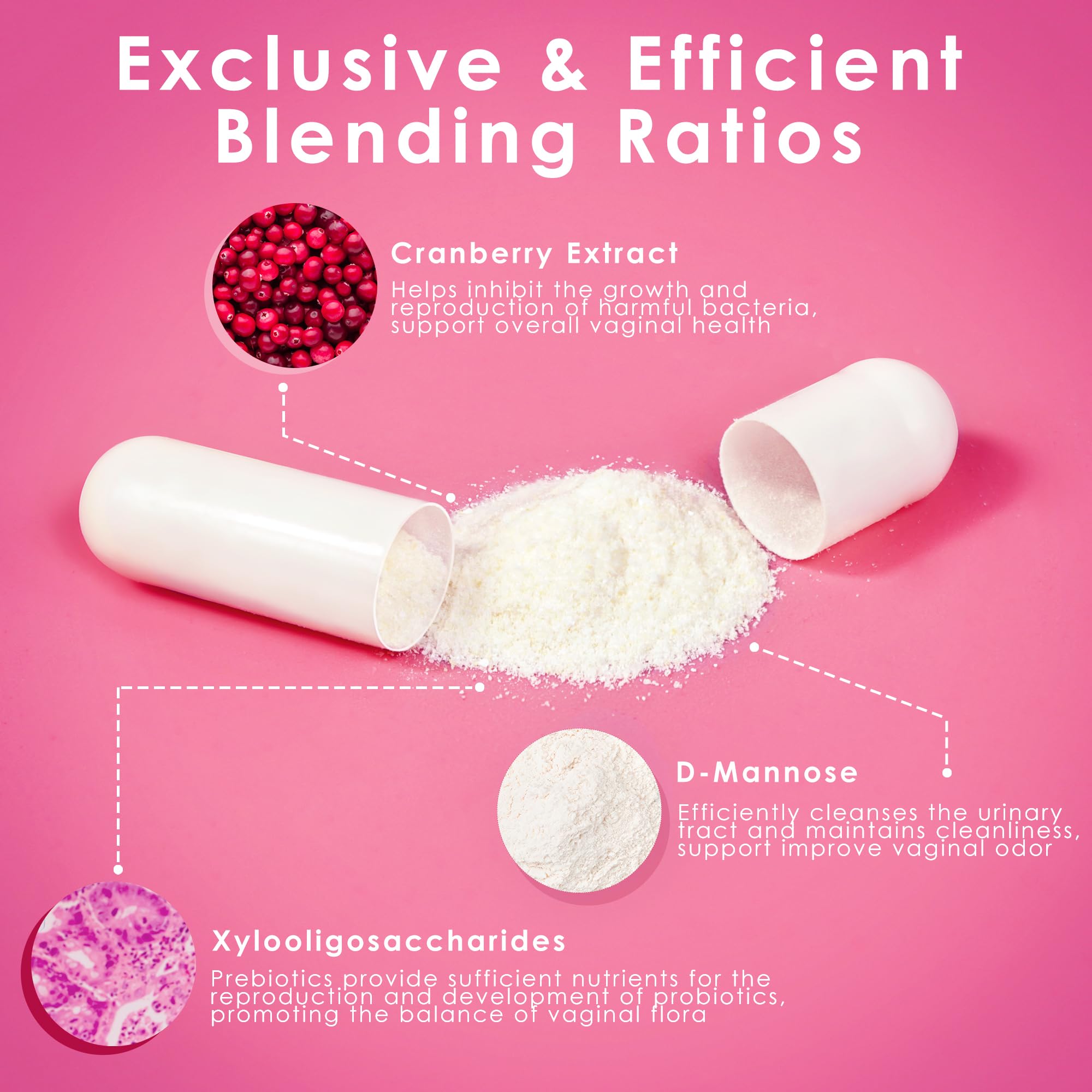 Non-GMO, gluten-free, vegan-friendly probiotic ingredients badge