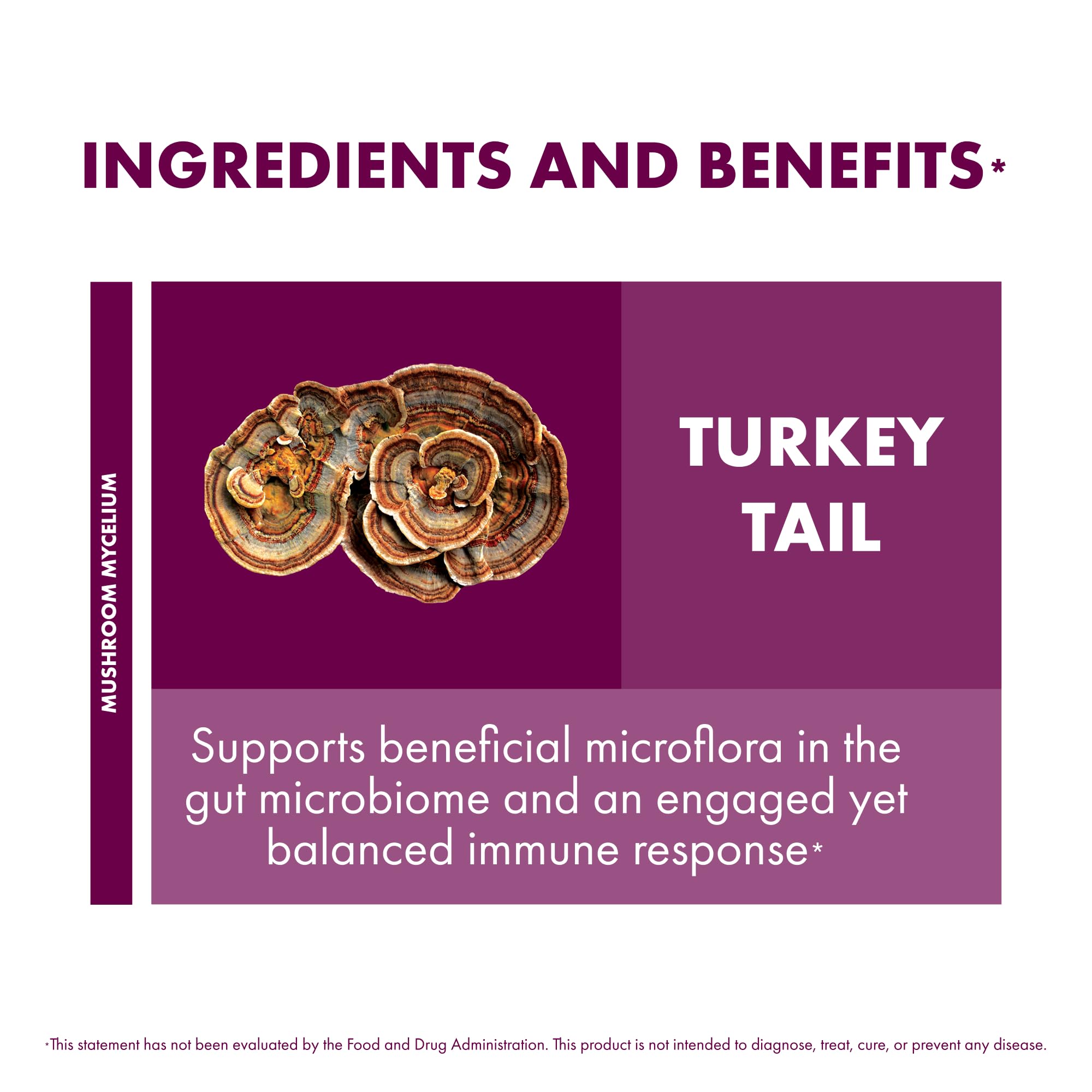 Non-GMO, gluten-free, vegan mushroom supplement