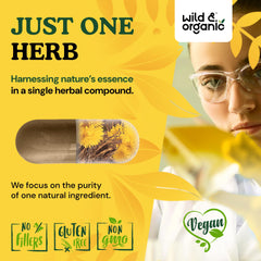 Non-GMO certification label on product