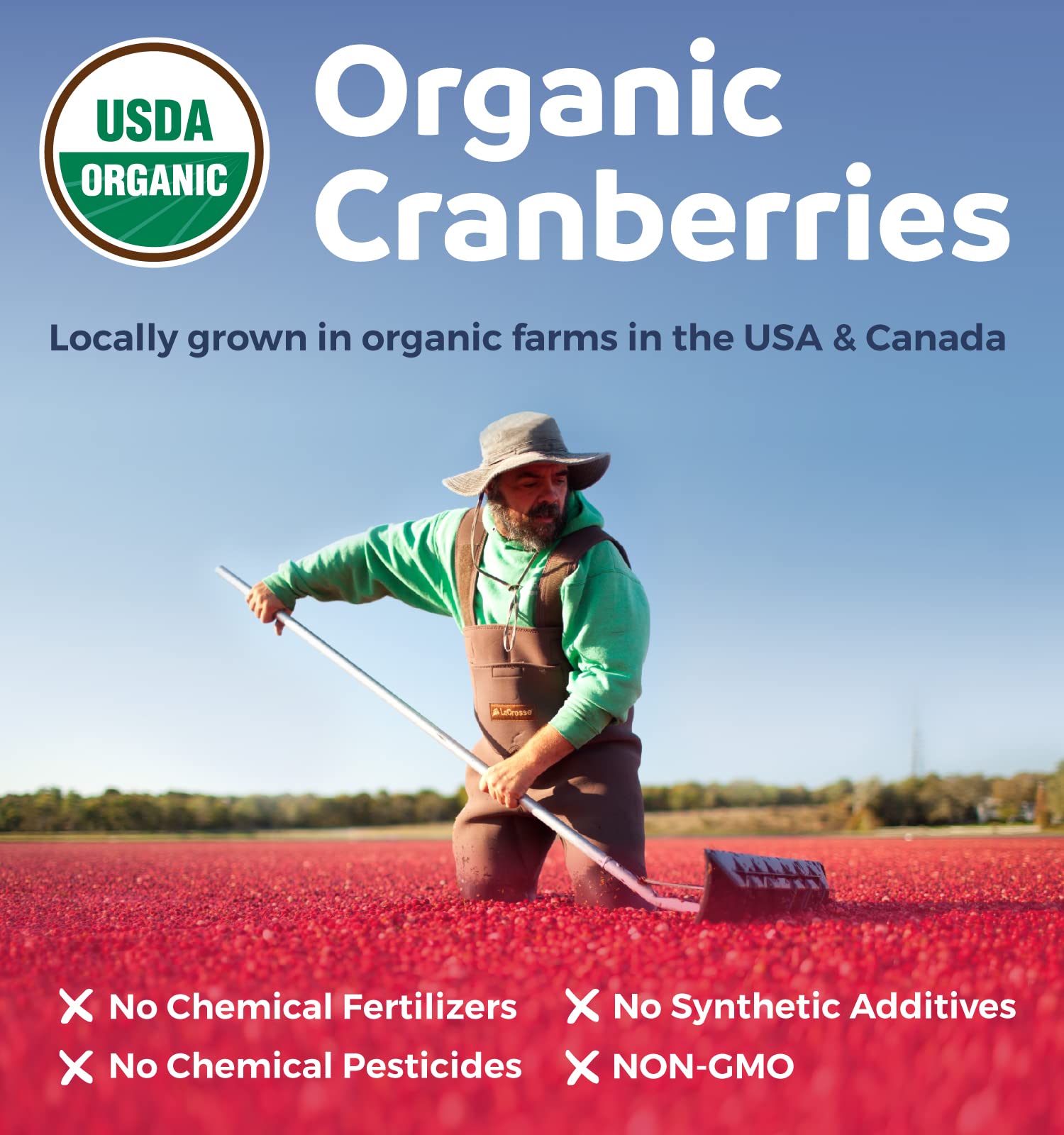 Non-GMO, allergen-free cranberry pills