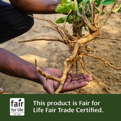 Non-GMO, sustainably sourced ashwagandha