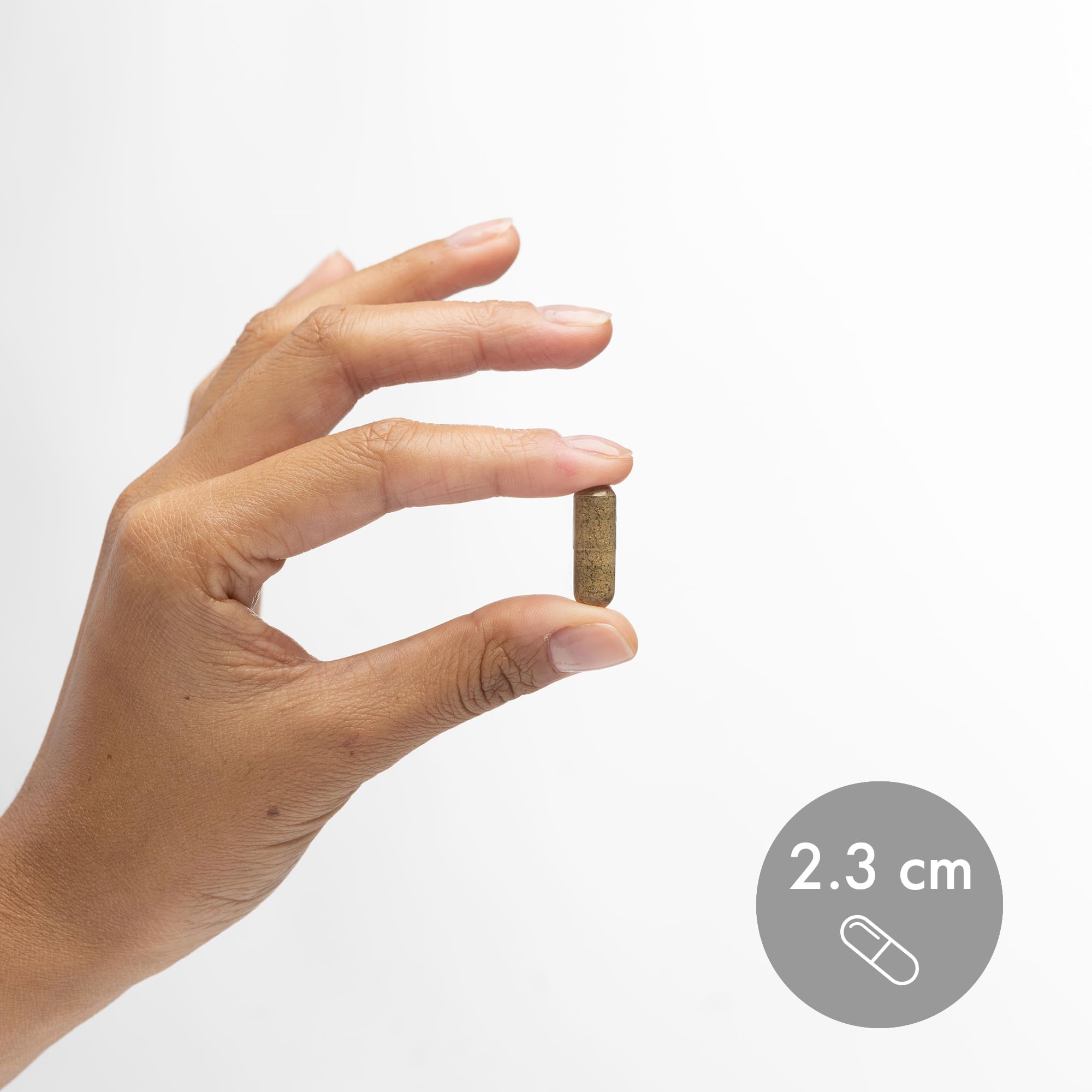 Non-GMO symbol indicating GMO-free formulation