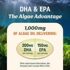 Non-GMO algae-based DHA and EPA