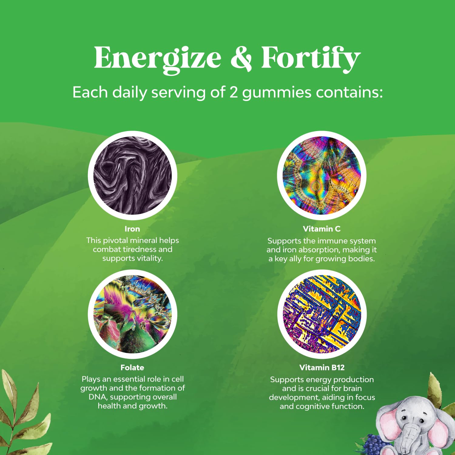 Non-GMO, vegan, and gluten-free claim on packaging