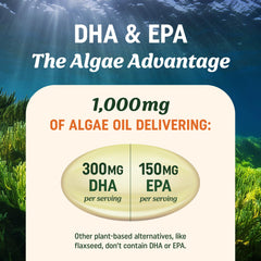 Non-GMO vegan omega-3 supplement packaging