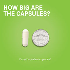 60-serving bottle of Noophoric D3 K2 supplement