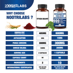Graphic depicting cognitive energy and focus from panax ginseng and ginkgo biloba