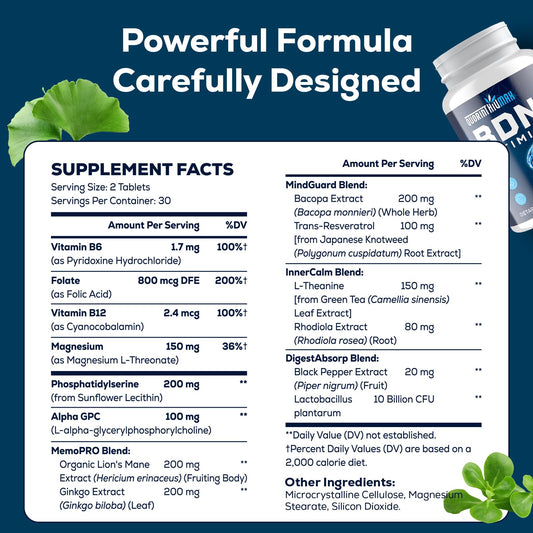 Organic Lion's Mane mushroom for cognitive support