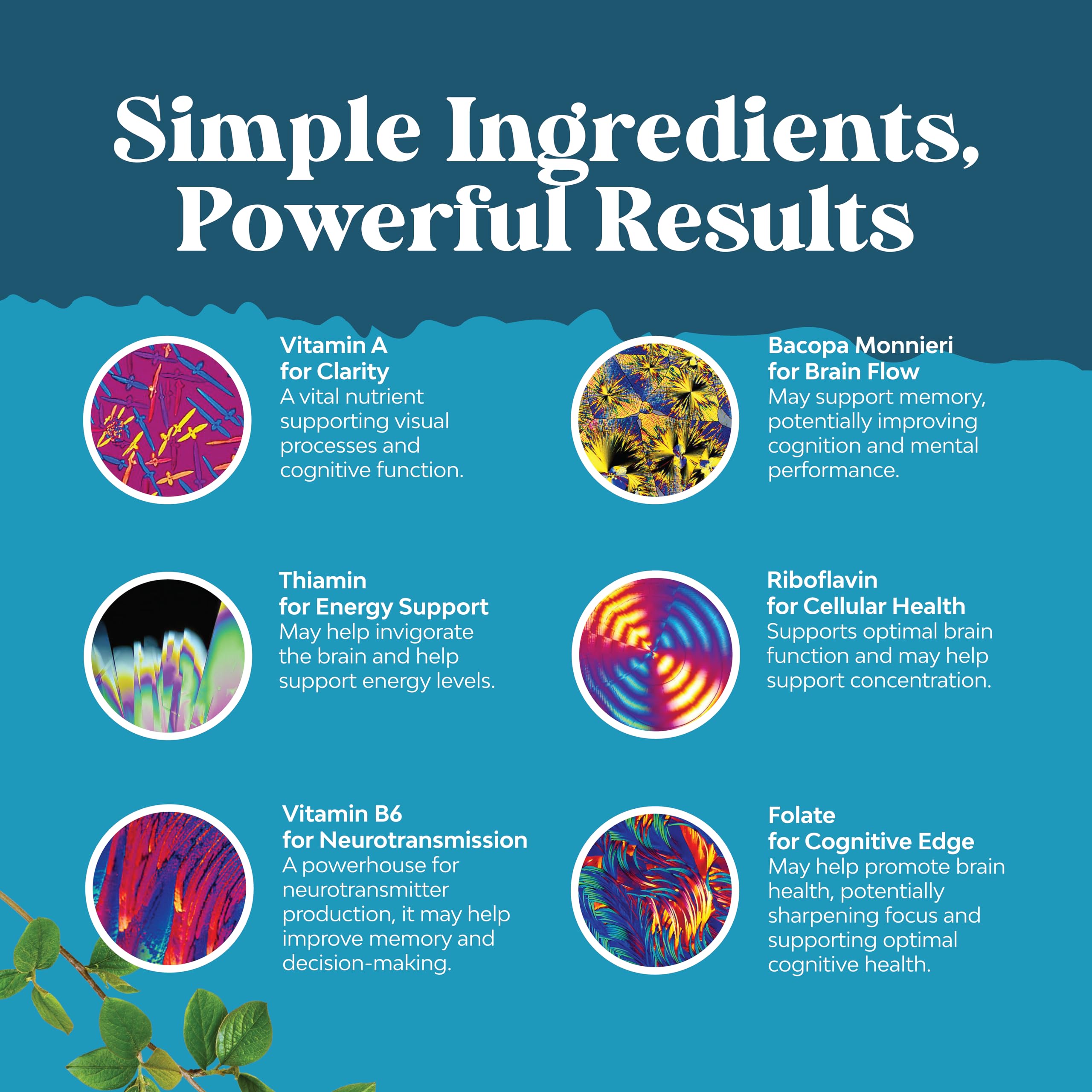 Huperzine A and Bilberry imagery with supplement components