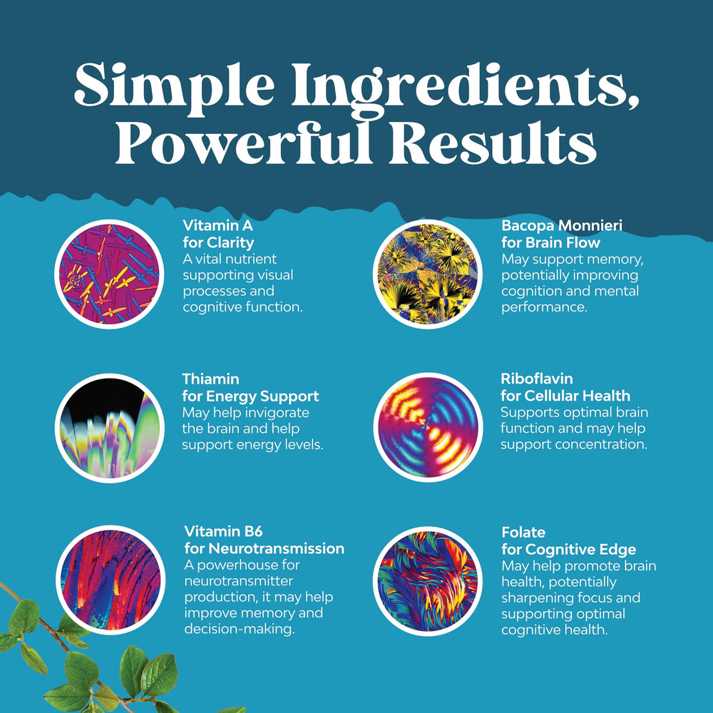 Huperzine A and Bilberry imagery with supplement components