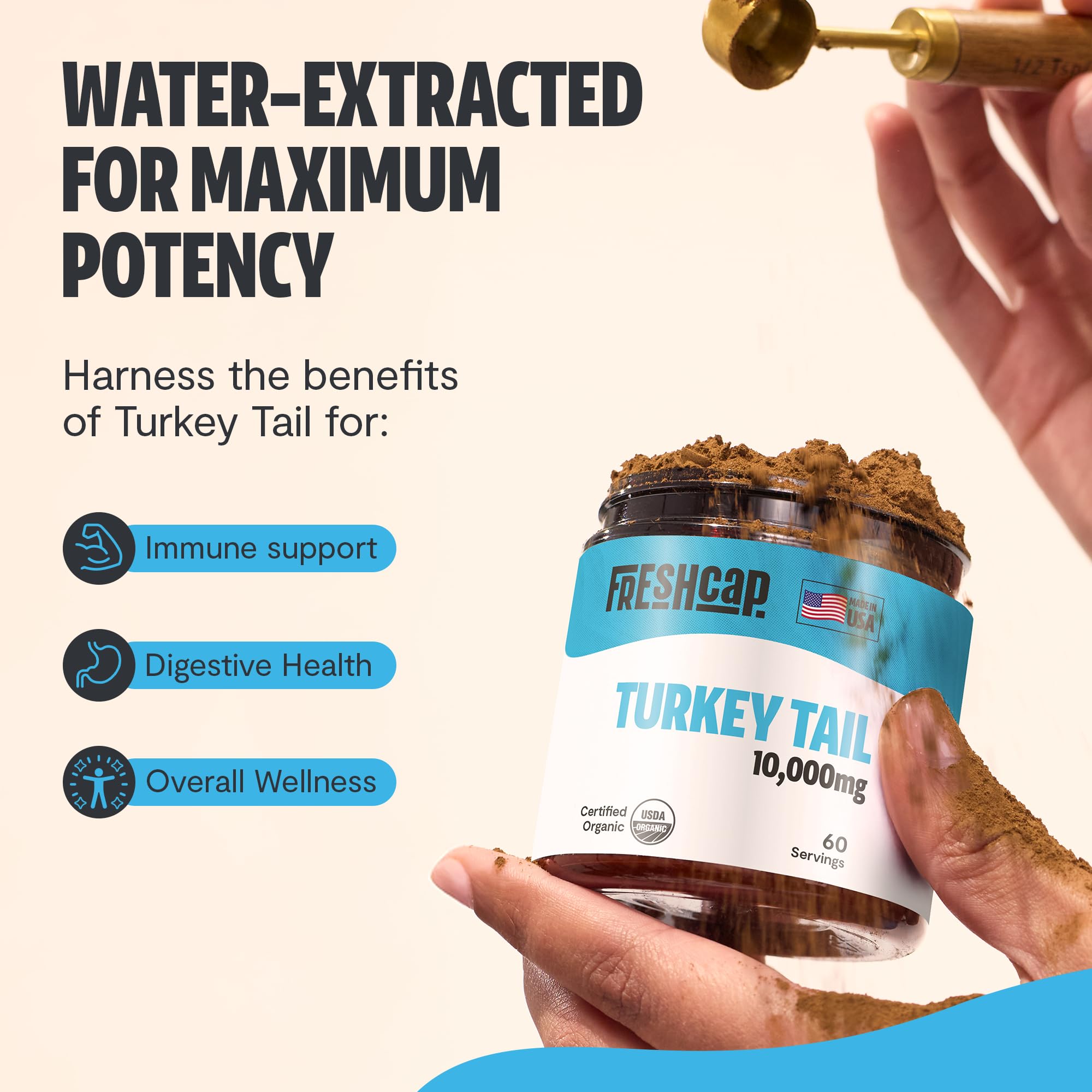 Immune support nootropic mushroom blend with Turkey Tail